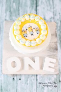 Smash the Cake Fotograf in Pirmasens