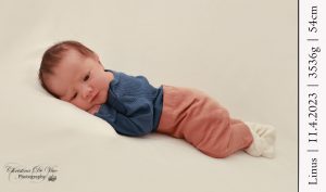 Linus Babygalerie