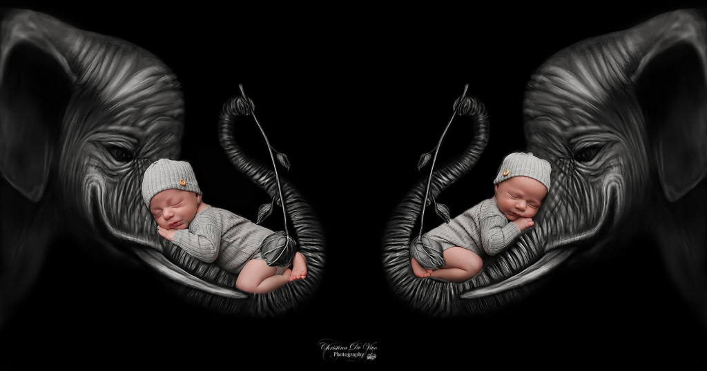 Erinnerungen Fotograf Babybilder Zwillinge