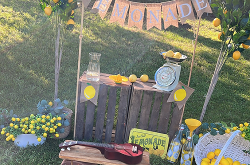 Kindergarten Lemonset Fotograf Christina De Vivo