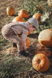 Kürbisfeld Mini Shooting by Christina De Vivo Photography bei Landstuhl Mini Shooting Aktion der Fotografin Christina De Vivo auf einem Kürbisfeld