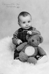 Babybilder mit Teddybär bei Pirmasens | Christina De Vivo Photography