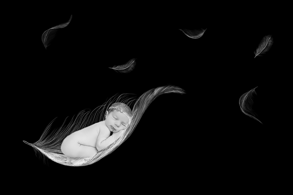 Digitaler Hintergrund für die Babyfotografie by Christina De Vivo mit mega Fotostudio bei Pirmasens