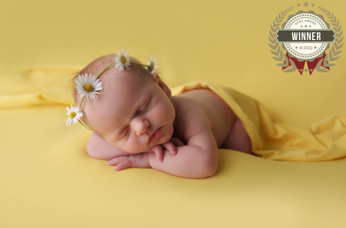 Gewinnerfoto der Fotografin Christina De Vivo Deine Fotografin bei Pirmasens, Kaiserslautern & Zweibrücken für moderne Babybauch & Neugeborenen & Familien Fotografie