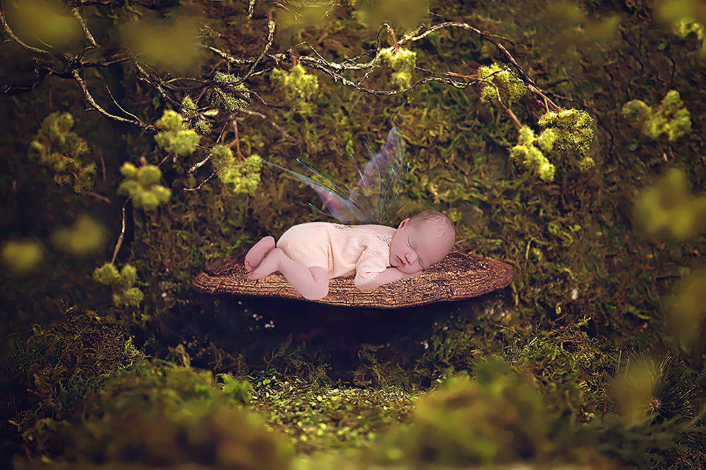 Digitaler Hintergrund für die Babyfotografie by Christina De Vivo mit mega Fotostudio bei Pirmasens