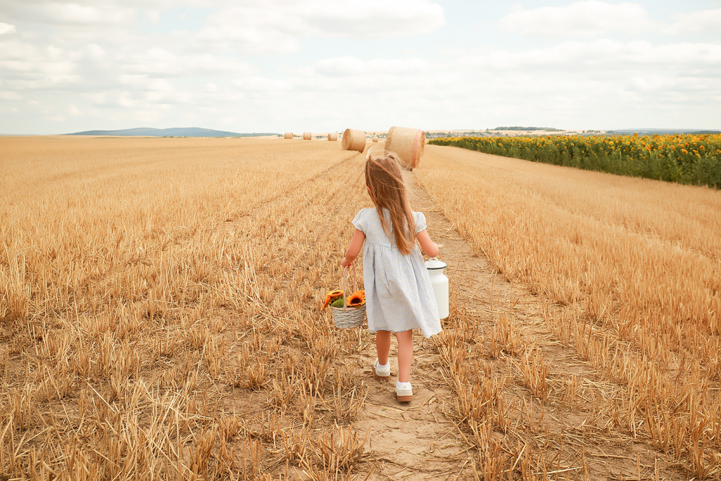 Shooting im Sonnenblumenfeld bei Landstuhl
